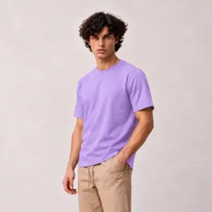 Lavender Regular Fit Plain T-Shirt